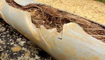 Sewer System Basics: Root Control and Preventive Maintenance
