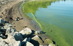 Recommendations for Water Utilities Battling Algal Blooms