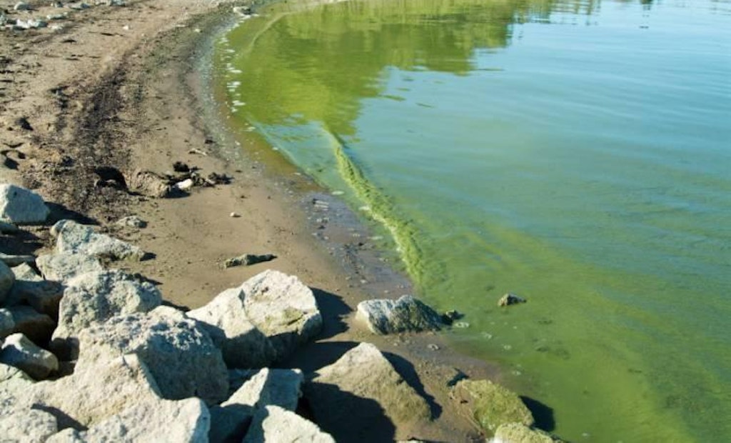 Florida Declares Algae Emergency