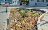 Green Stormwater Initiatives Make Silicon Valley an Industry Leader