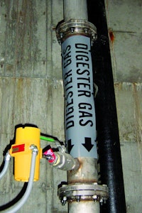 Wet Gas Flowmeter Solves Biogas Moisture, Corrosion and Accuracy Issues