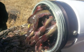Fish Clog Dry Hydrant