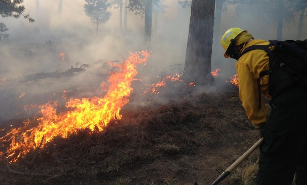 How to Apply Lessons From Colorado's Costliest Wildfire to Drinking Water Systems